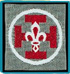 Promesse scouts
